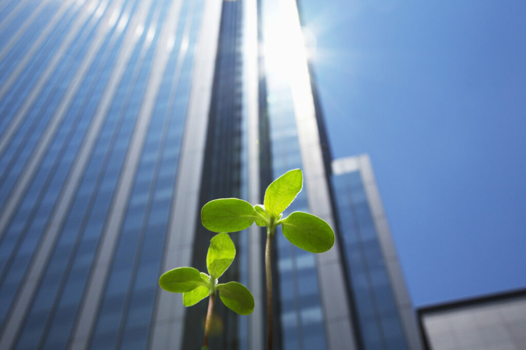 tall-buildings-plant